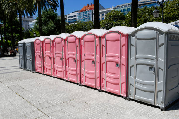 Best Portable Restroom Removal and Pickup  in Sturgeon, MO
